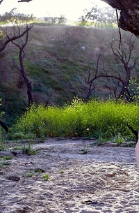 Emily Bloom - Naked In The Field