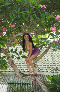 Tropical Beauty Mirela A